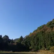 Kaz