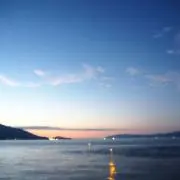ぴよの画像