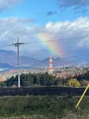 ひいひいの画像