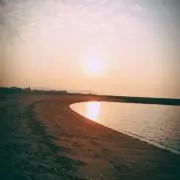 ruuの画像