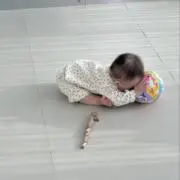 かりてゃの画像