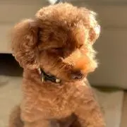 Jonの画像