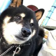 YKKの画像
