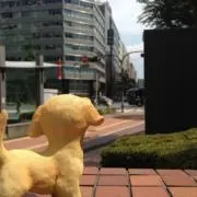 さわでぃ
