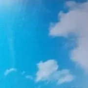 しじみ