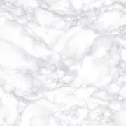 こきんちゃん