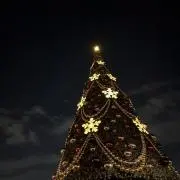 M プロフ必読の画像