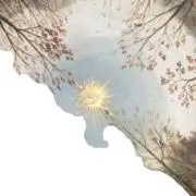 ☀︎ プロフ一読推奨︎の画像