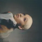 ariの画像