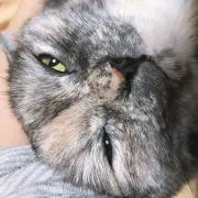 ぴろ