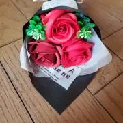 あんず❣️の画像