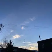 まだらの画像