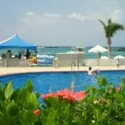 tropicalflowerの画像