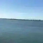 Youの画像