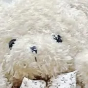 ぴ