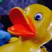 あんこの画像