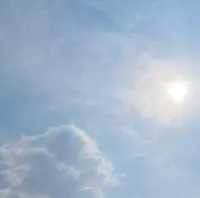 7の画像