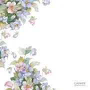 まなの画像