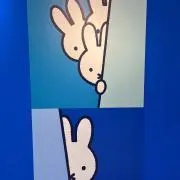 nanasan✨の画像