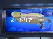 ヌートリア2号の画像