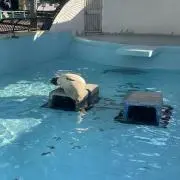 塩こうじの画像