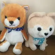 なかむらの画像