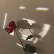 ゆららの画像