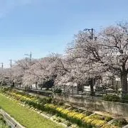 あいの画像