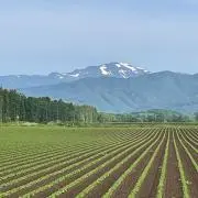 たー