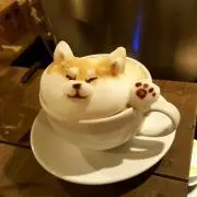 なかもと　機種変