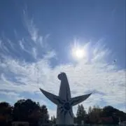 Negoの画像