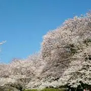 RyuBの画像