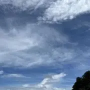 ✿.*・゜の画像