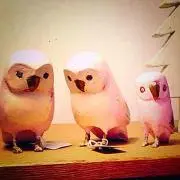 ♡iroha♡