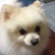 久美姉さん☆プロフ必読！