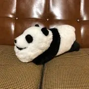 ややーやの画像