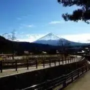 まみの画像
