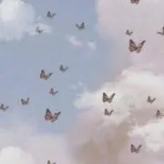saaの画像