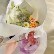 もんの画像
