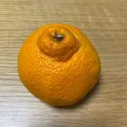 ZEEの画像