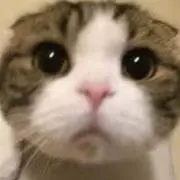 kの画像