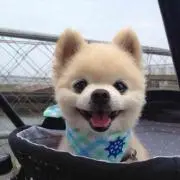 もっちゃん