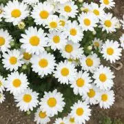 mtmrme.の画像