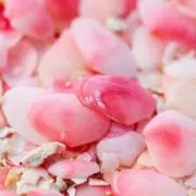 【即購入OK】クレイビューティーフィルムノーブルオイル 150ml【4セット】 即購入OK】クレイビューティーフィルムノーブルオイル 150ml【4セット