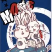 yno7