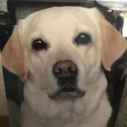 vickyの画像