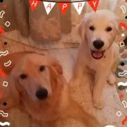 ロザリオの画像