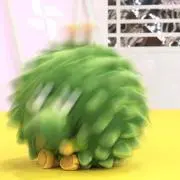 りっぴ
