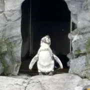 のしものの画像