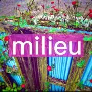 milieu  ミリュの画像